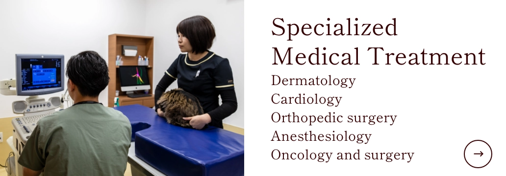 Specialized Medical Treatment