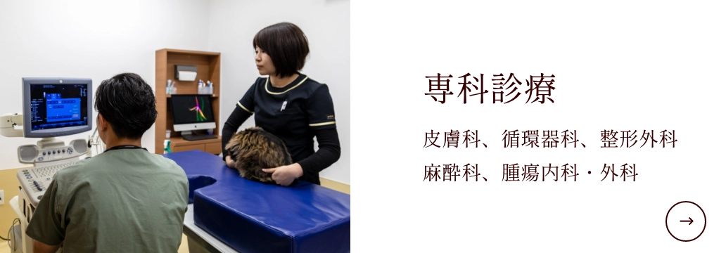 専科診療
