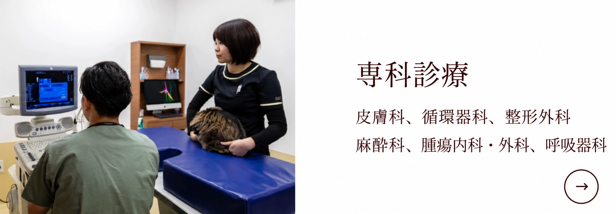 専科診療