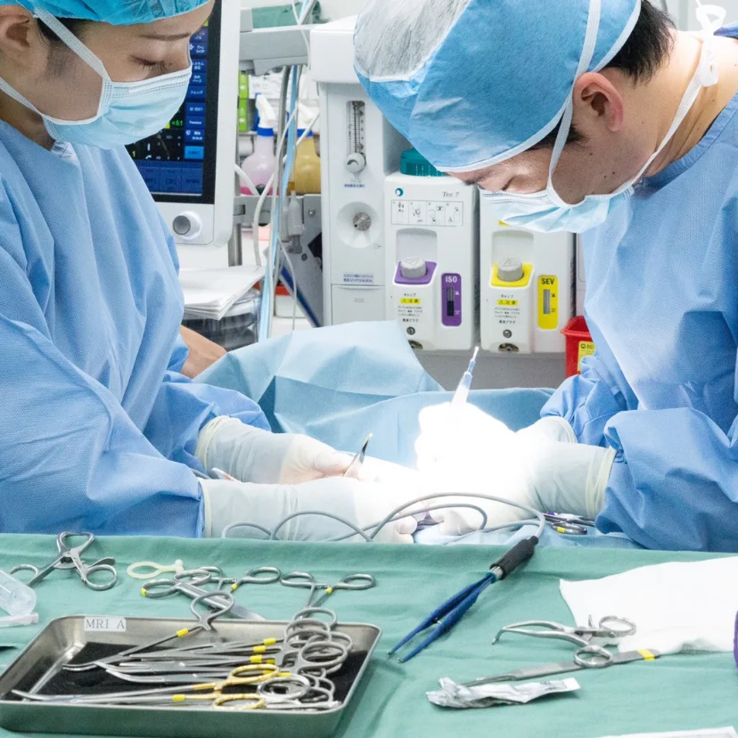 ご紹介承ります