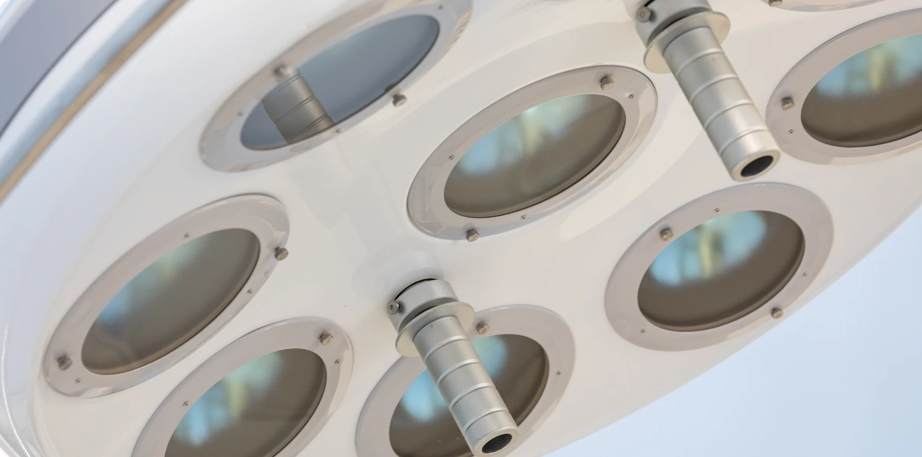 ご紹介いただく
獣医師の方へ