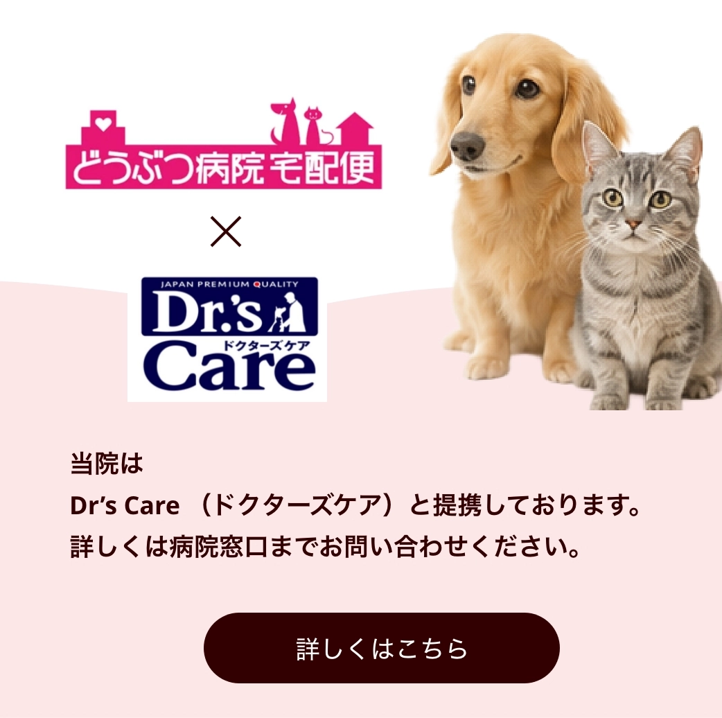 どうぶつ病院宅配便