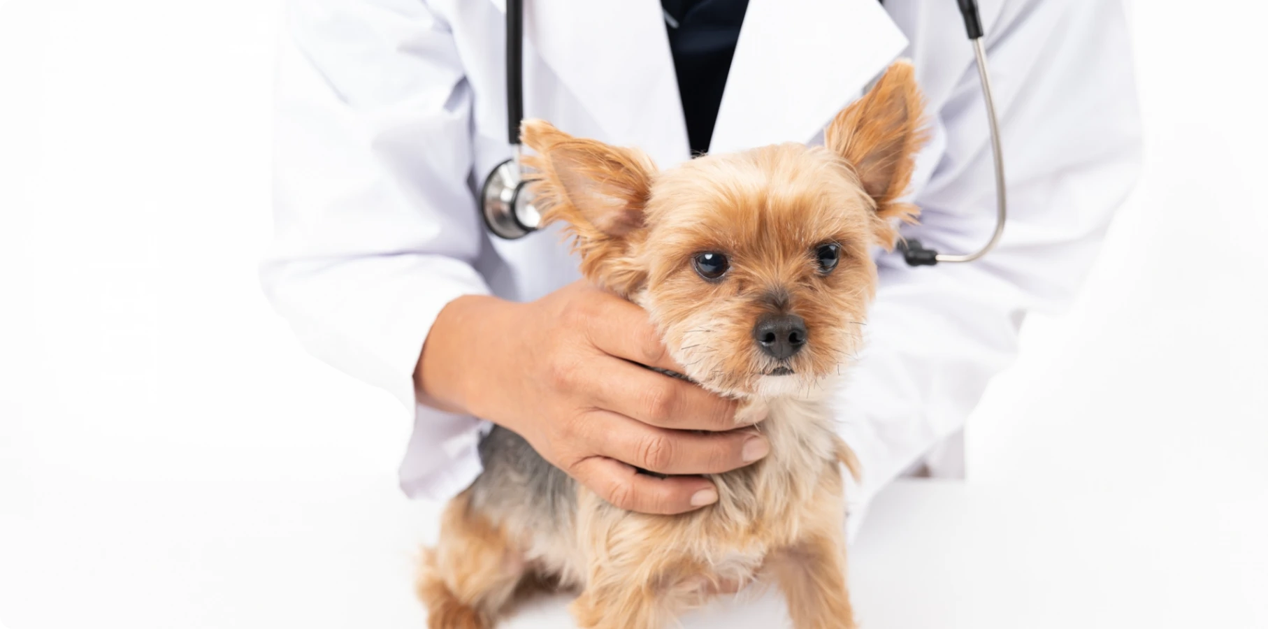 Specialized Medical Treatment