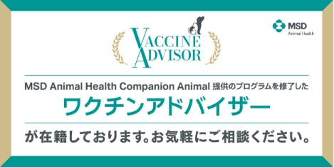 ワクチンアドバイザーが在籍しております。お気軽にご相談ください。