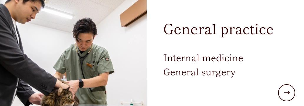 General practice