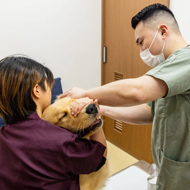 3. 健康診断