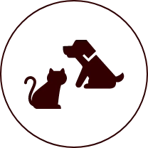 犬・猫